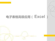 电子表格高级应用(Excel)