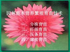 园林苗木营养繁殖育苗技术