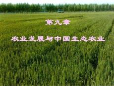 台州农业发展看法及发展报告