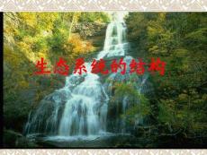 生物：5.1《生态系统的结构》课件（新人教版必修3）