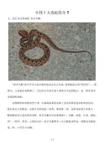 中国十大毒蛇简介7