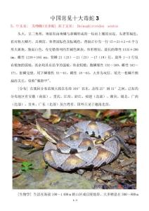 中国常见十大毒蛇3