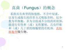 【医学精品课件之抗生素】 真菌（Fungus）
