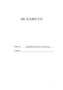 遥感图像处理及ENVI IDL操作实践(26P)