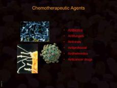 抗生素英文课件精品 Chemotherapeutic Agents