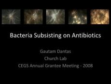 抗生素英文课件精品 Bacteria Subsisting on Antibiotics