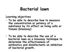 抗生素英文课件精品 Bacterial lawn