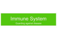 抗生素英文课件精品——Immune System