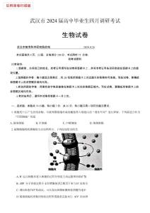 武汉市2024届高中毕业生四月调研考试（四调）生物试卷（含答案）