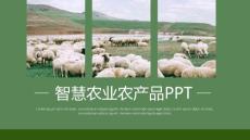 农业介绍农业专用PPT模版 (36)