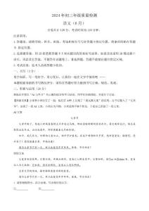 2024年广东省深圳市高级体系联考中考三模语文试题（原卷版）