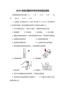 2024年四川南充中考化学试卷及答案