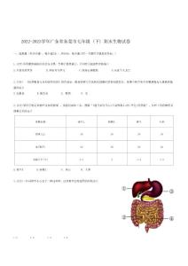 2022-2023学年广东省东莞市七年级（下）期末生物试卷
