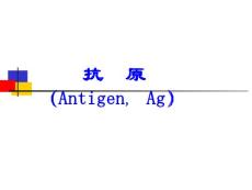 【01抗原】---最新课件