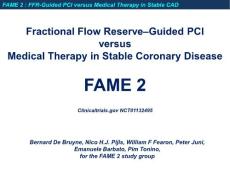 FAME 2 Presentation Slides--2012ESC心血管专家课件