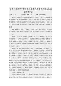 毛概论文(关于改革开放)