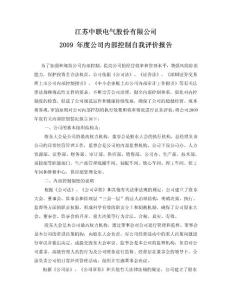 中联电气：2009年度公司内部控制自我评价报告