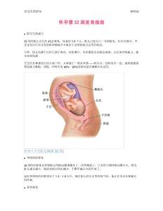 【怀孕指南】怀孕第32周发育指南