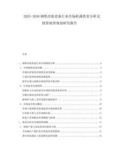 2025-2030钢铁冶炼设备行业市场机遇供需分析及投资展望规划研究报告