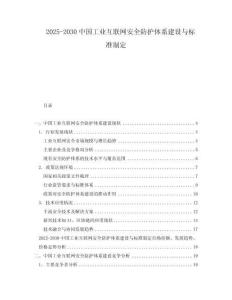 2025-2030中国工业互联网安全防护体系建设与标准制定