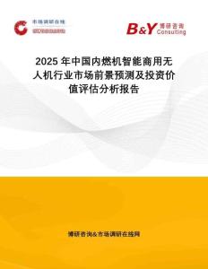 2025年中国内燃机智能商用无人机行业市场前景预测及投资价值评估分析报告
