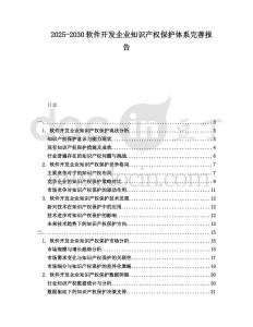 2025-2030软件开发企业知识产权保护体系完善报告
