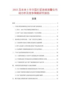 2025及未来5年中国打浆连续测量仪市场分析及竞争策略研究报告