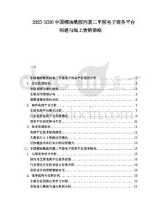 2025-2030中国椰油酰胺丙基二甲胺电子商务平台构建与线上营销策略