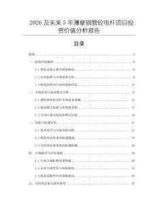 2026及未来5年薄壁钢管砼电杆项目投资价值分析报告