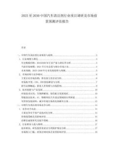 2025至2030中国汽车清洁剂行业项目调研及市场前景预测评估报告