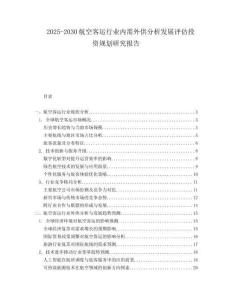 2025-2030航空客运行业内需外供分析发展评估投资规划研究报告