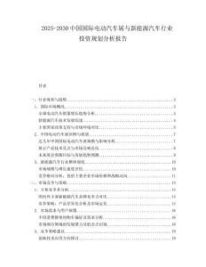 2025-2030中国国际电动汽车展与新能源汽车行业投资规划分析报告