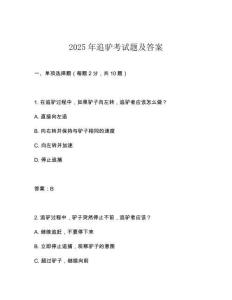 2025年追驴考试题及答案