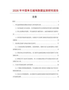 2026年中国单孔磁珠数据监测研究报告