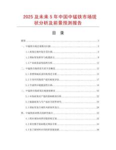 2025及未来5年中国中锰铁市场现状分析及前景预测报告