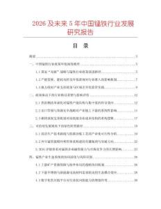 2026及未来5年中国锰铁行业发展研究报告