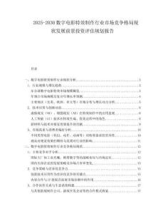 2025-2030数字电影特效制作行业市场竞争格局现状发展前景投资评估规划报告
