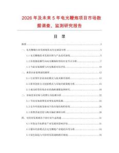 2026年及未来5年电光鞭炮项目市场数据调查、监测研究报告