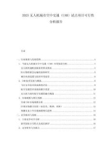 2025无人机城市空中交通（UAM）试点项目可行性分析报告