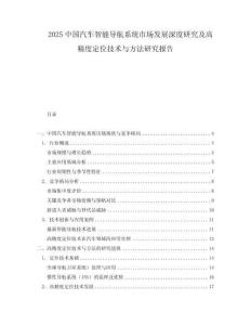 2025中国汽车智能导航系统市场发展深度研究及高精度定位技术与方法研究报告