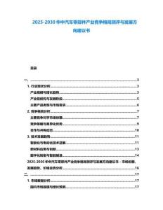 2025-2030华中汽车零部件产业竞争格局测评与发展方向建议书