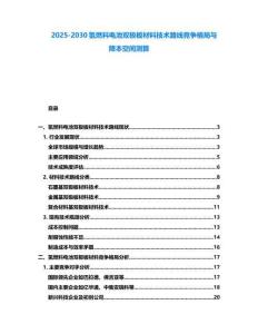 2025-2030氢燃料电池双极板材料技术路线竞争格局与降本空间测算