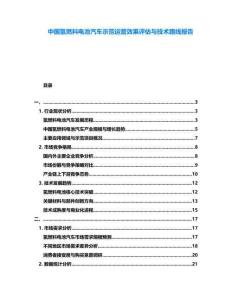 中国氢燃料电池汽车示范运营效果评估与技术路线报告