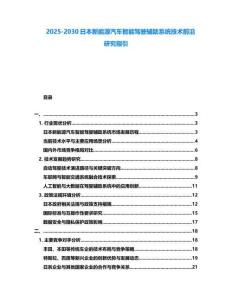 2025-2030日本新能源汽车智能驾驶辅助系统技术前沿研究指引