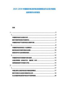 2025-2030中国固态电池研发进度跟踪及车企技术路线选择博弈分析报告