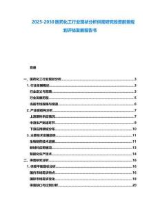 2025-2030医药化工行业现状分析供需研究投资前景规划评估发展报告书