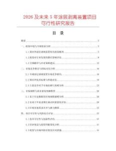 2026及未来5年涂层剥离装置项目可行性研究报告