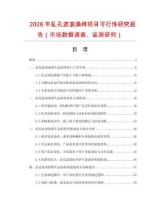 2026年乱孔波浪澡绵项目可行性研究报告（市场数据调查、监测研究）