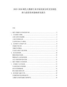 2025-2030褐色大数据行业市场发展分析及发展趋势与投资管理策略研究报告