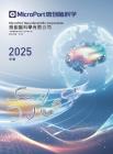 微创脑科学：二零二五年年报